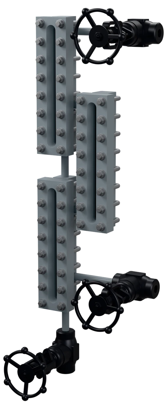 Multi-section reflex level gauge with gauge cocks